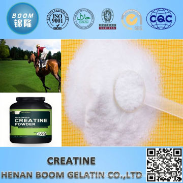 wholesale pharmaceutical grade raw monohydrate creatine